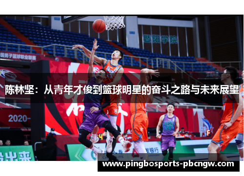 陈林坚：从青年才俊到篮球明星的奋斗之路与未来展望
