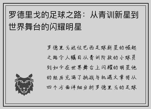 罗德里戈的足球之路：从青训新星到世界舞台的闪耀明星